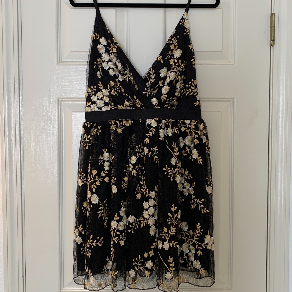 NWT Express Tulle Embroidered Dress